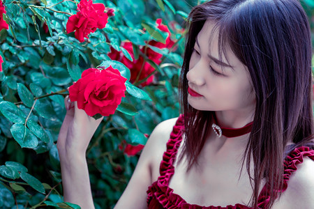 中新健康丨什么是基孔肯雅热？如何预防？